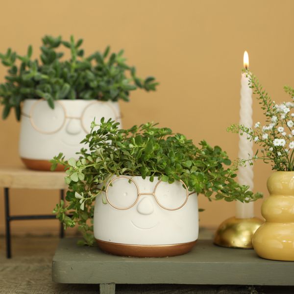Ideas 4 Season Bloempot - Goud