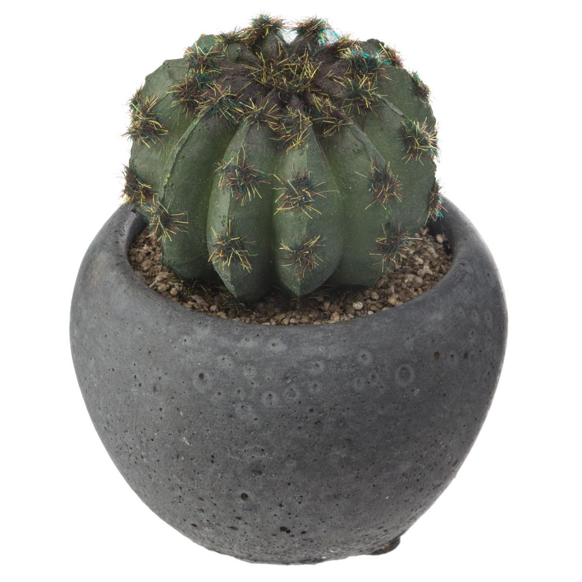 CACTUS POT CIMENT NOIR D.6.5CM