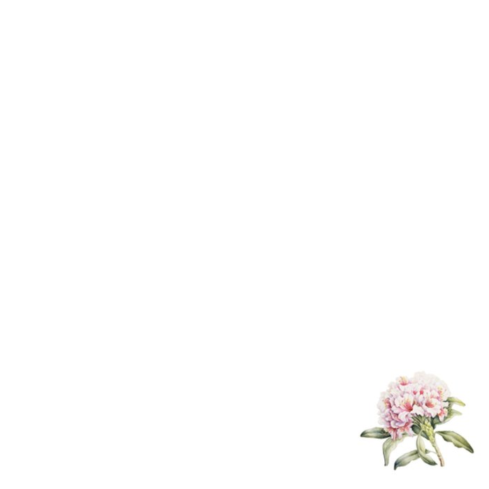 Janneke Brinkman | Huwelijkskaart | Just married