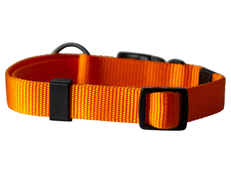 Halsband met lijn