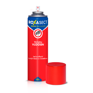 Roxasect Spuitbus Tegen Vlooien 300ML