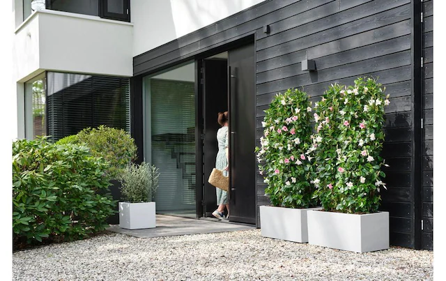 Elho Blumentopf »Next Quadrat 40 cm«
