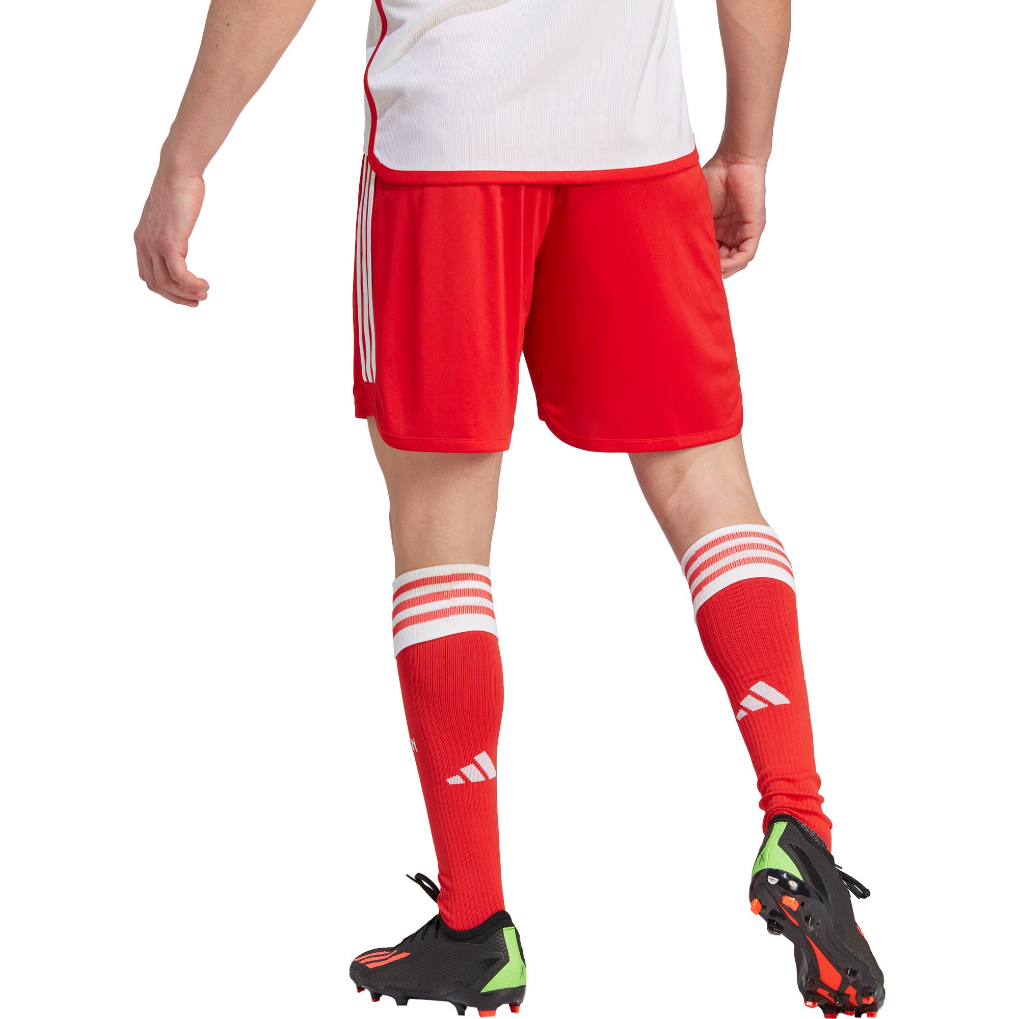 adidas FC Bayern Home Shorts 23/24 Herren rot