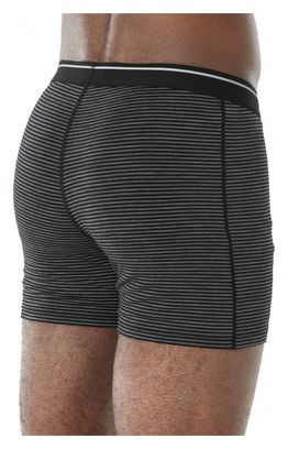Boxer Icebreaker Anatomica Boxers Gris
