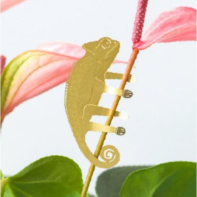 Plant Animal Chamelion
