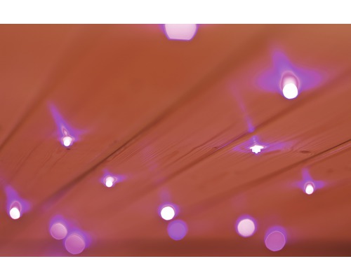 Sterrenhemel LED Caribou