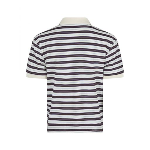 Neo Noir Beta Stripe Polo T-shirt, Brown, 36