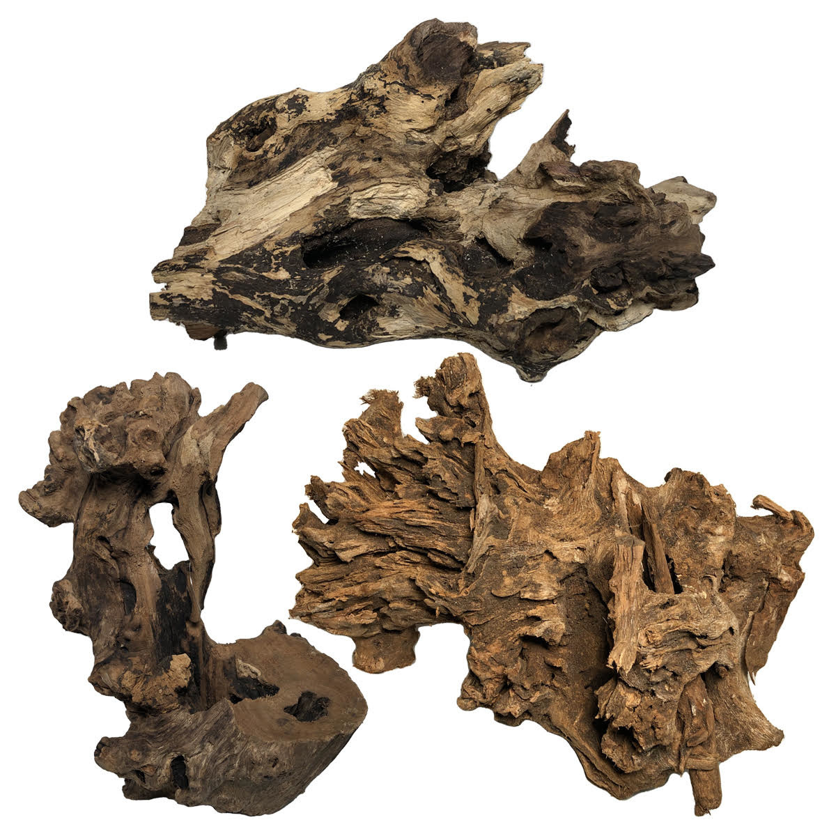 AQXL Selected Kayika Wood M 25-40cm | Hout