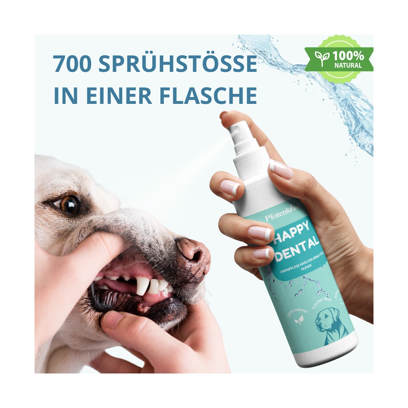Pfotenkraut Zahnpflege Kräuter Spray HAPPY DENTAL 200ml