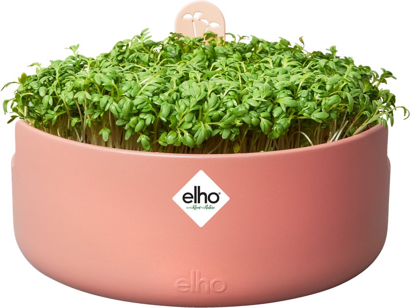 Elho kweekpot Magic Microgreens terracotta D 16,8 H 7,1