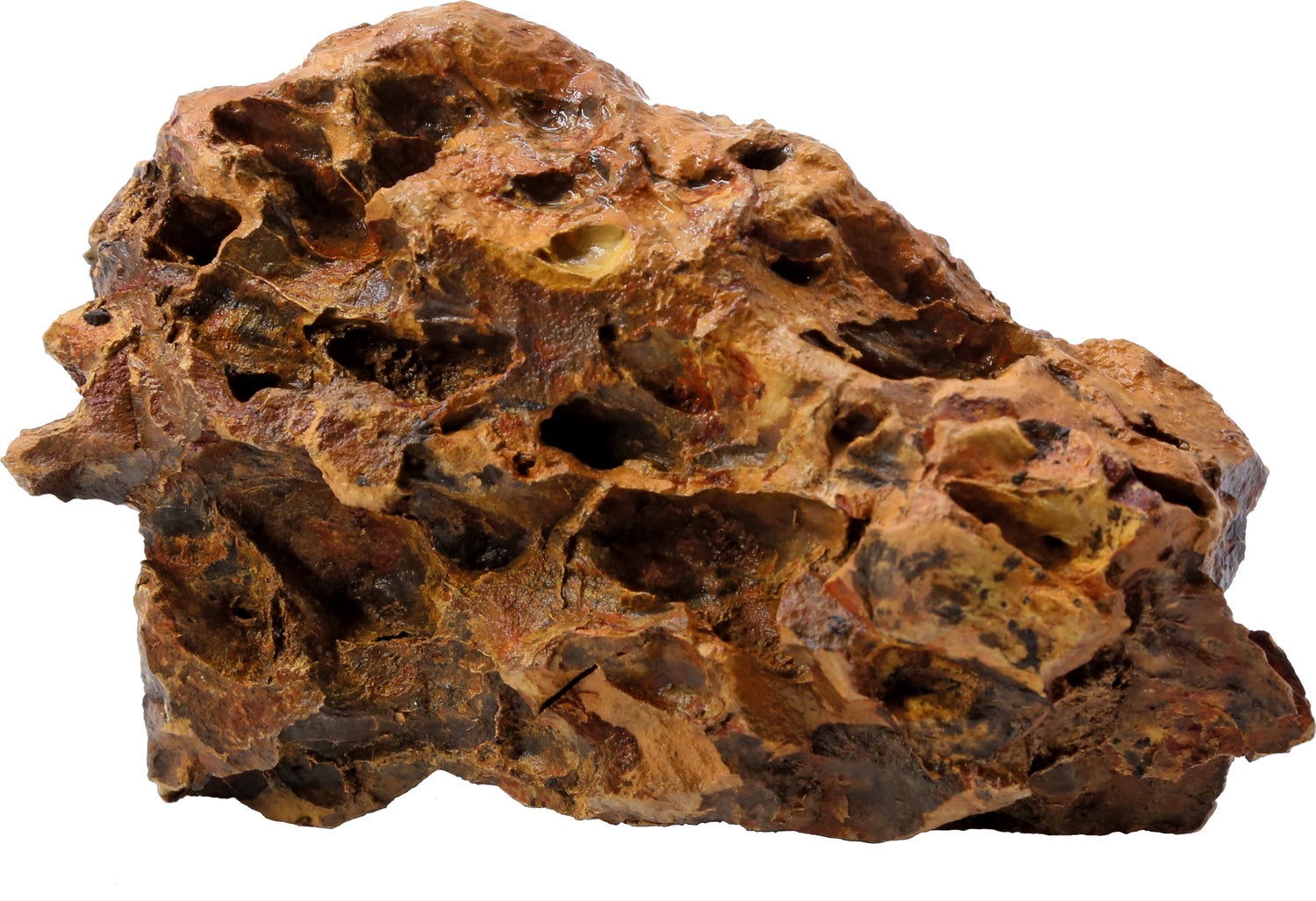 SuperFish aquarium decoratie drakenrots bruin 3 kg