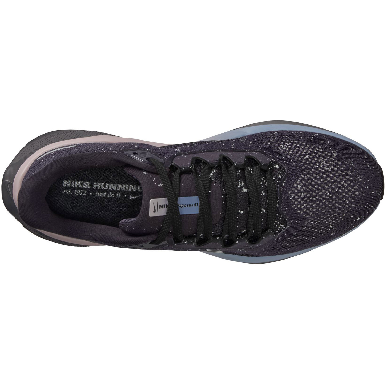 Nike Pegasus 41 SE Dames