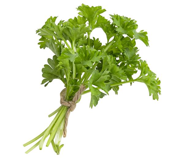 Petersilie 'Mooskrause'