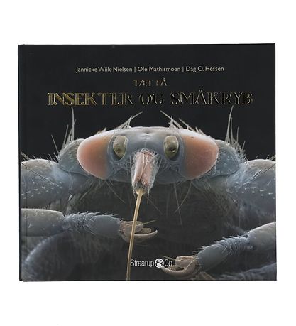 Straarup & Co Bog - T?t P? Insekter og Sm?kryb - Dansk