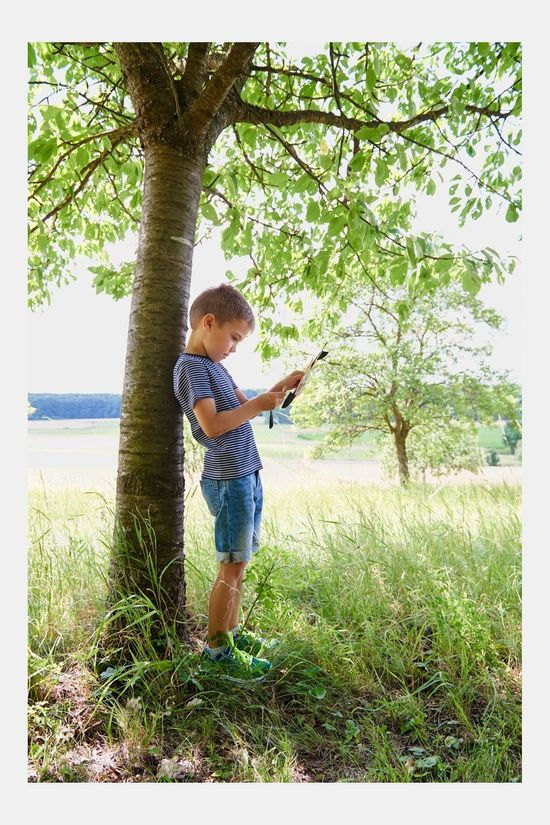 Haba Toys Haba Toys Terra Kids Katapultvliegtuig