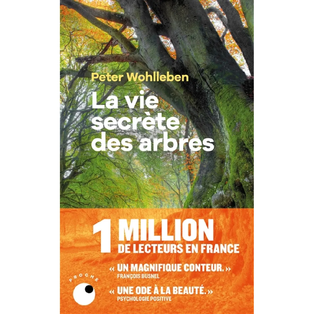 La vie secrète des arbres : ce qu'ils ressentent, comment ils communiquent : un monde inconnu s'ouvre à nous