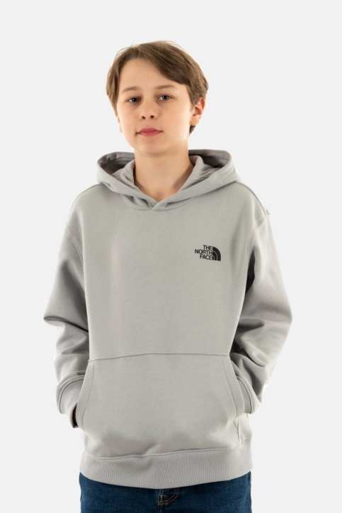 Sweat the north face mountain line a911 meld grey