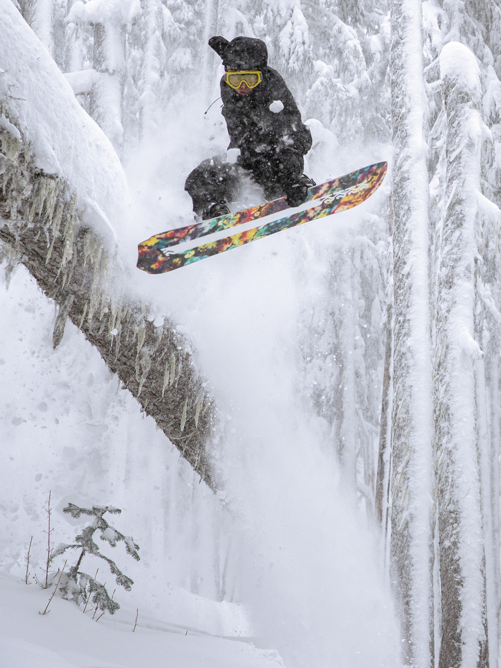 K2 Almanac 2025 Snowboard design