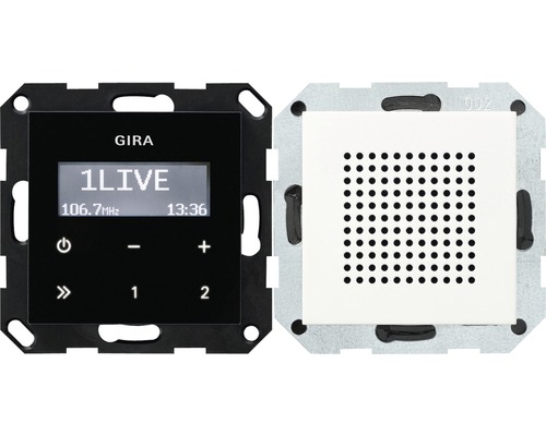 Gira 228003 Radio RDS met één luidspreker, bedieningspaneel in zwart glaslook, Standaard 55/Event/Event Opaque