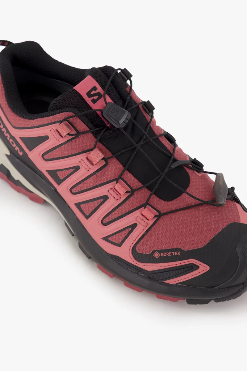 Salomon XA Pro 3D V9 Gore-Tex® Damen Trekkingschuh
