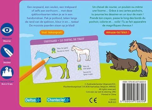 Zo Teken Je Paarden - 12 Sjabloonkaarten