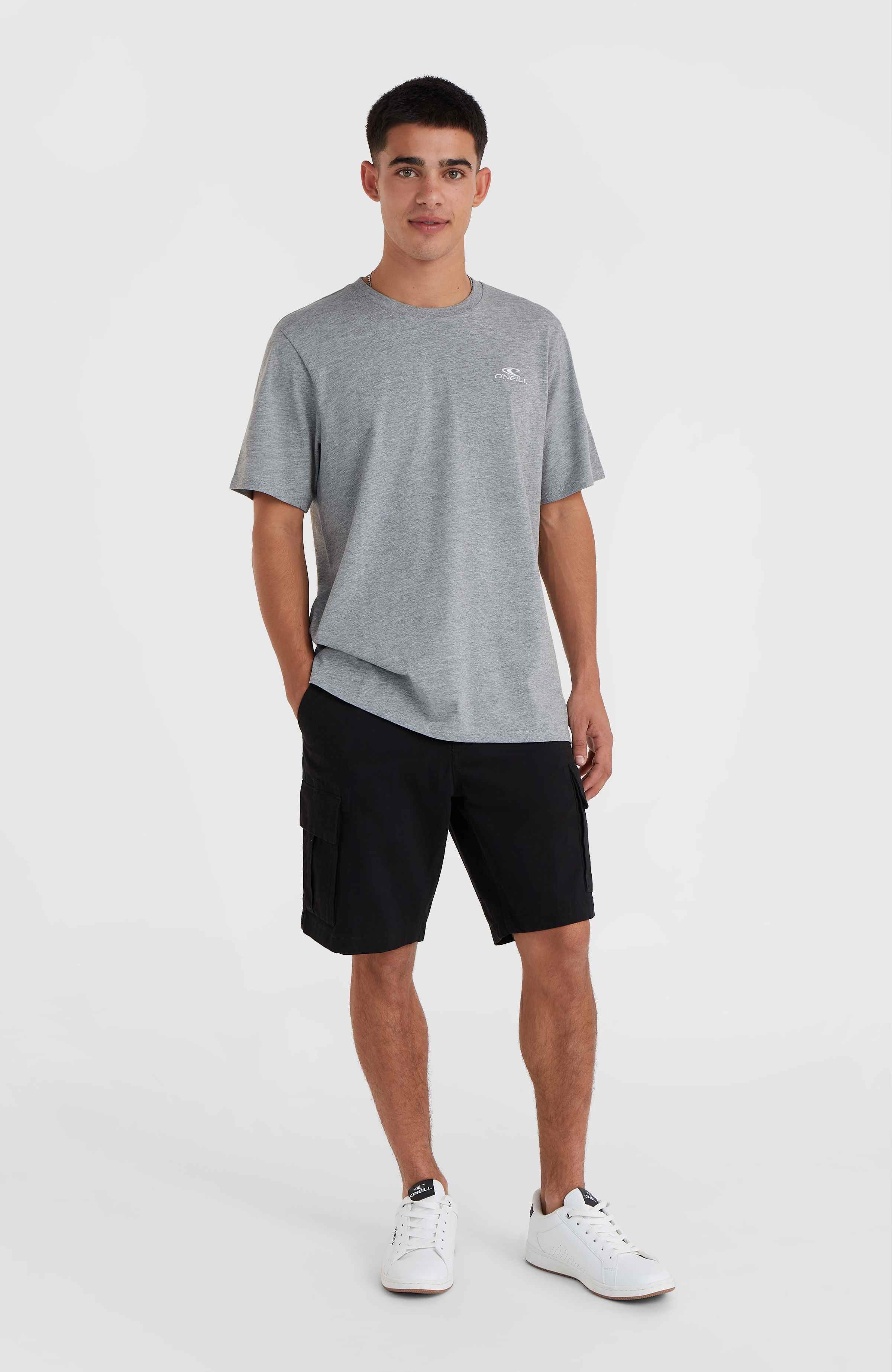 Small Logo T-shirt O`Neill Grijs