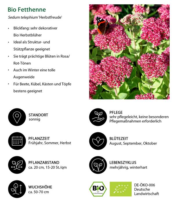 Bio Stauden-Set Blütenkollektion, Landlust