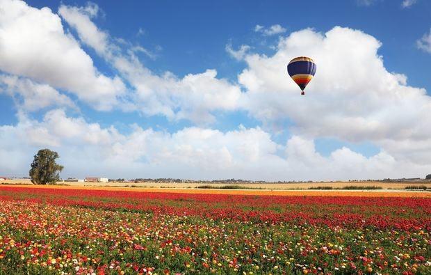 Ballonfahrt in Eschenbach als Geschenkidee