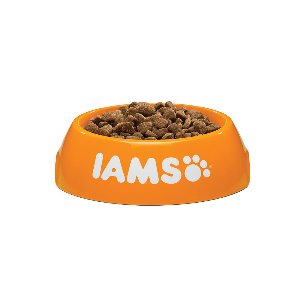 IAMS for Vitality Adult Cat Salmon & Chicken