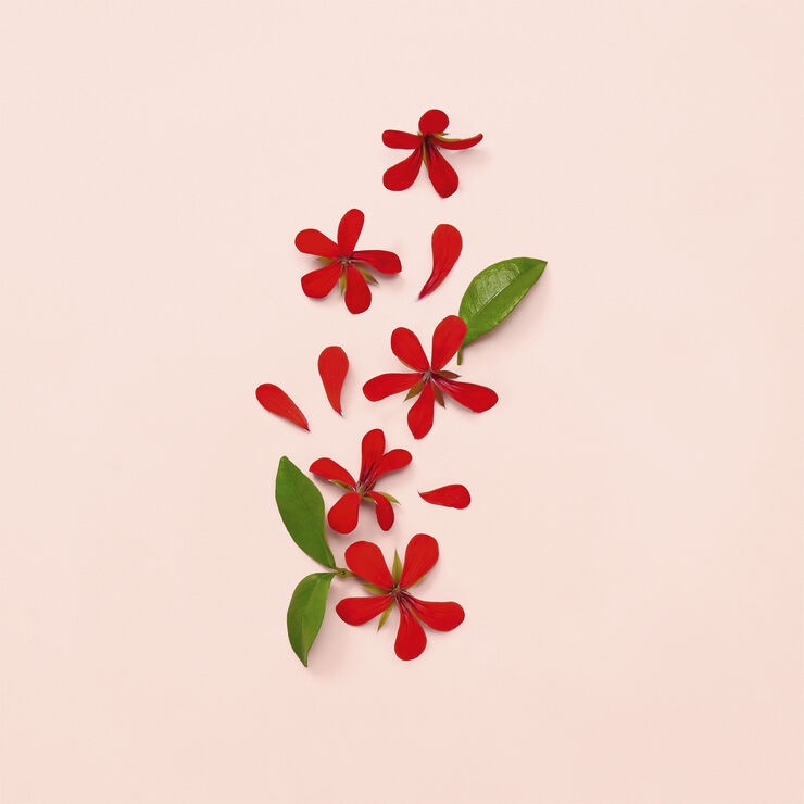 Gucci Bloom Eau De Parfum