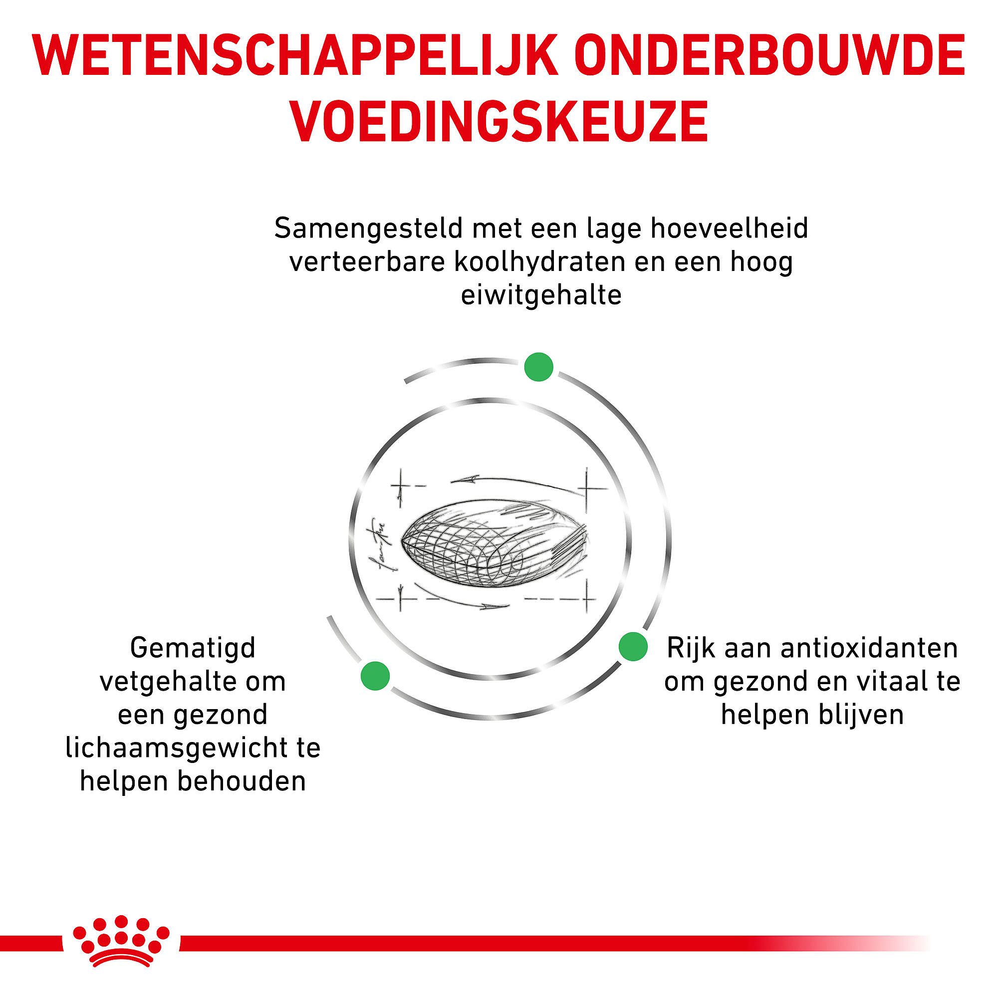 Royal Canin Diabetic kat Kattenvoer voor volwassen katten met suikerziekte
