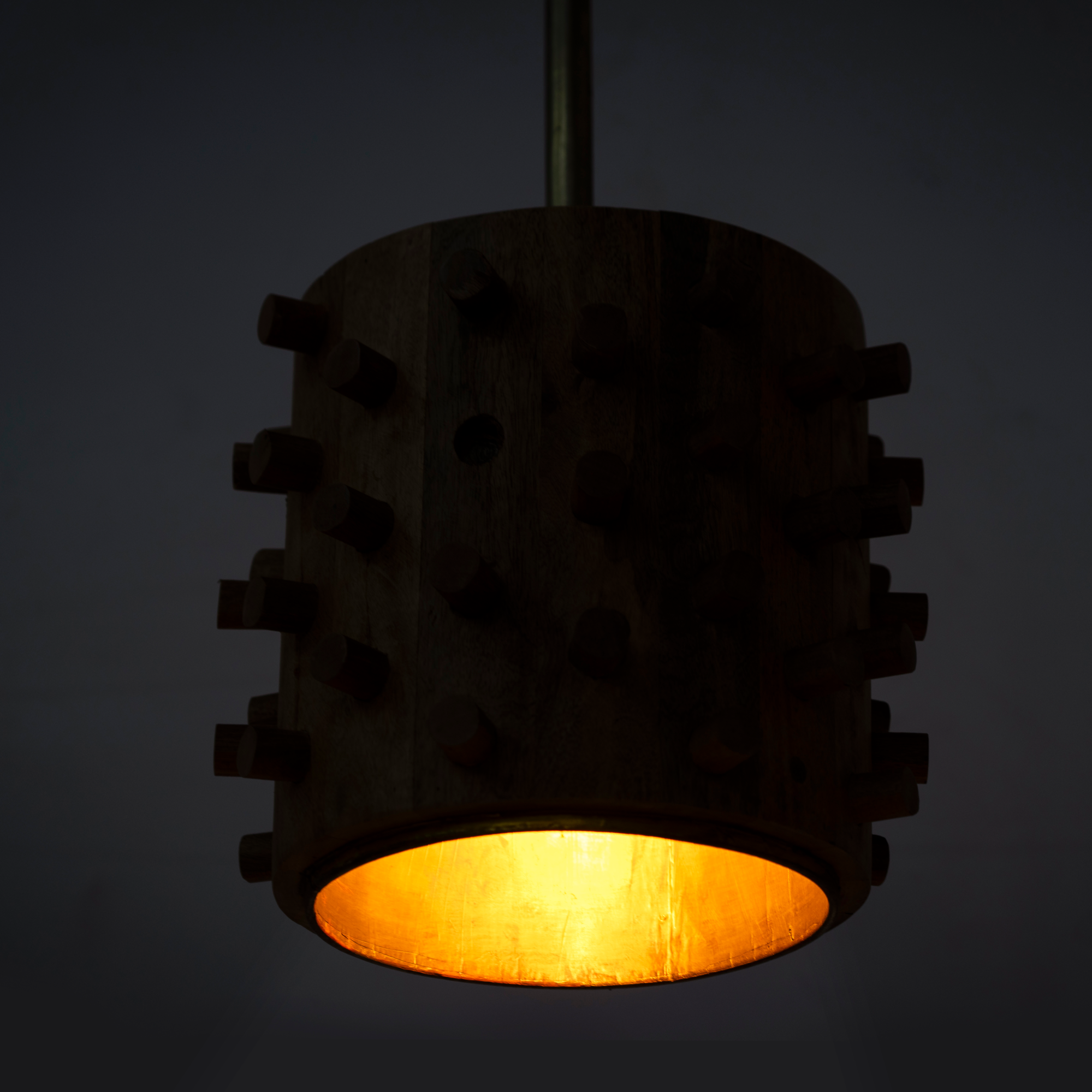 Hanglamp Bharati #1