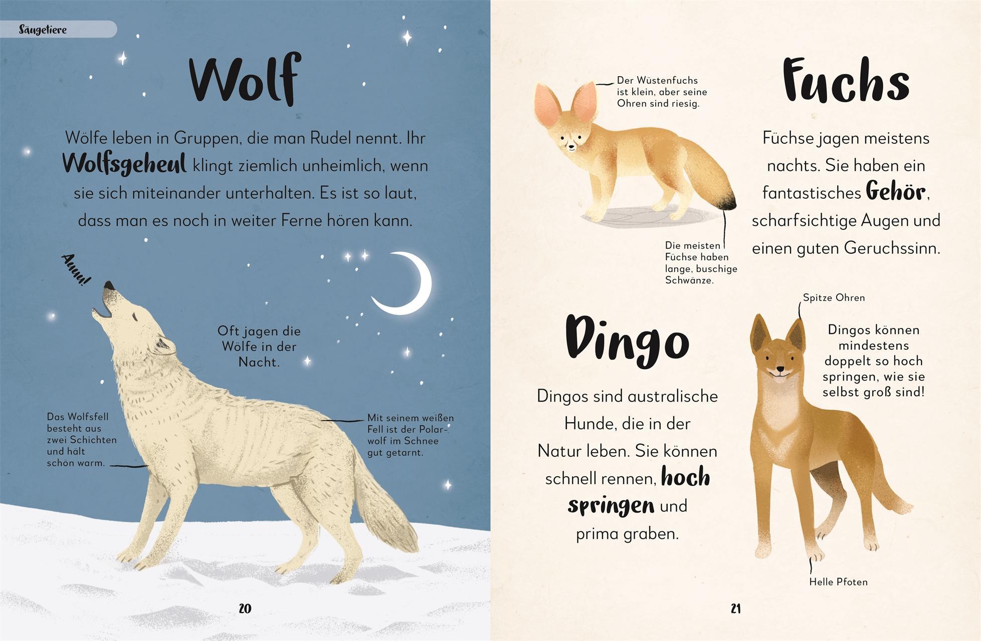 Mein liebstes Buch der Tiere