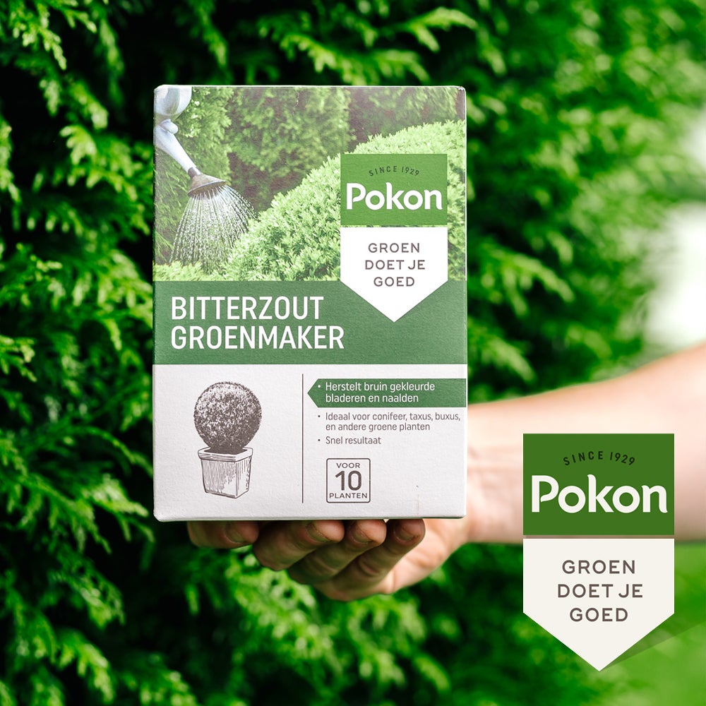 Pokon bitterzout groenmaker 500 gr