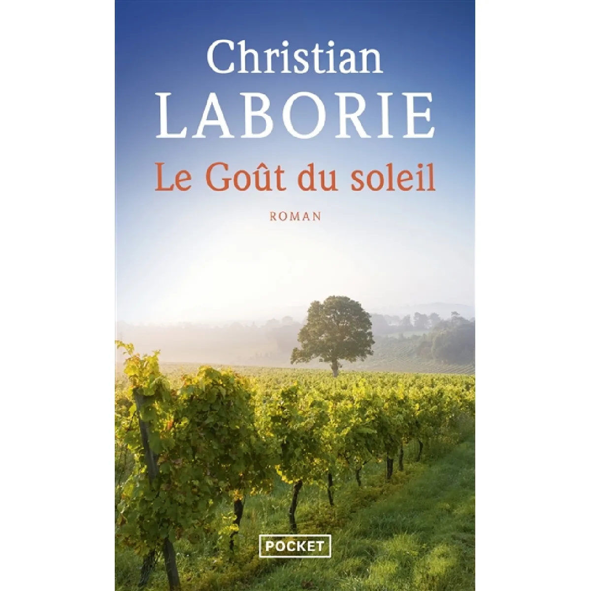 Le goût du soleil · Occasion