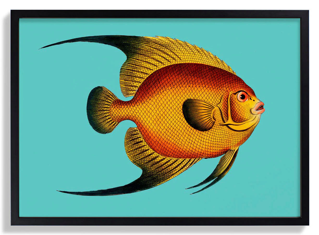 Türkisfarbener Fisch