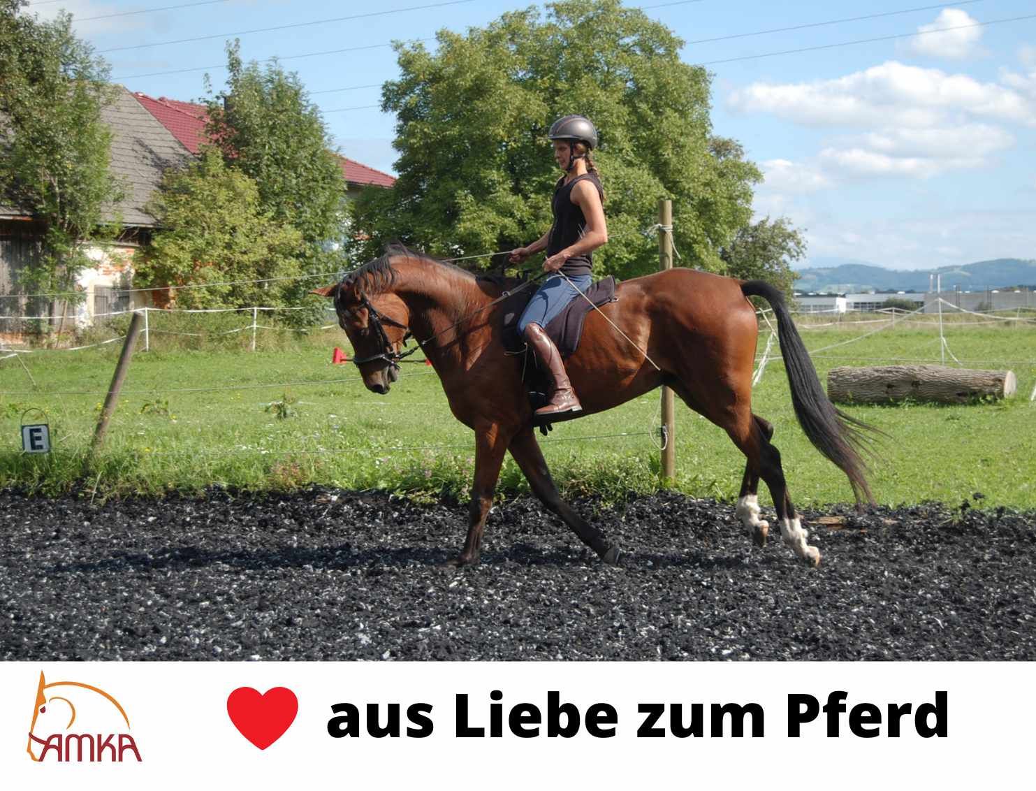 AMKA Reitpad  Larry