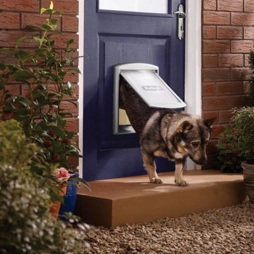 Porta para cães de duas vias prateada