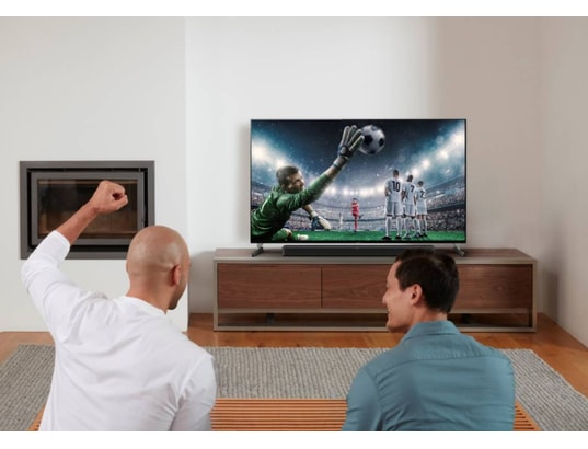 SONY - TV LED 80 cm KD32W800P1