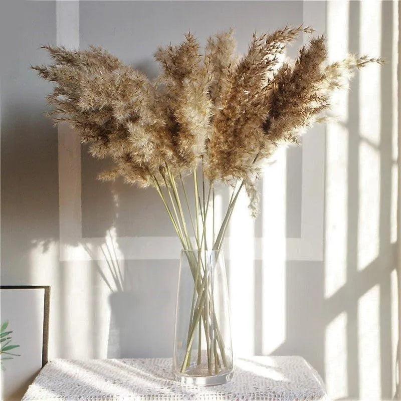 60cm Natural Real Brown Beige Dried Pampas Grass Bouquet | Fluffy Feather For Modern Boho Home Decoration Ornament