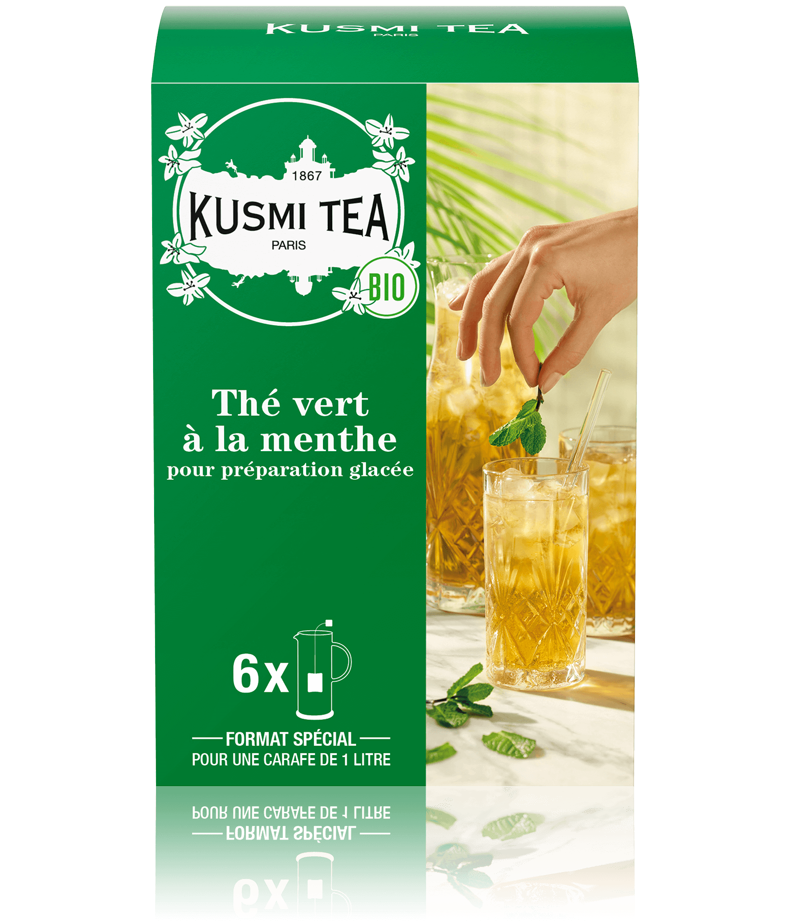 Thé vert à la menthe-Thé vert bio à la menthe Boîte de 6 grands sachets