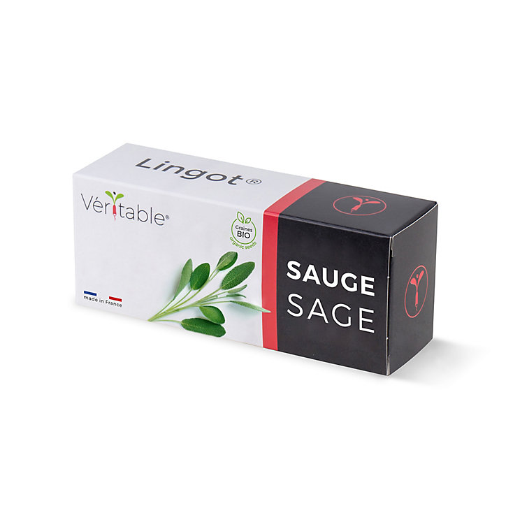Lingot® Sauge Bio pour potager Véritable®