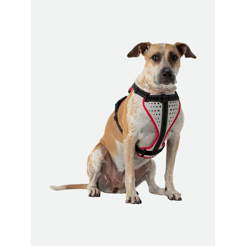 K9 Reflective Dog Harness - Harnais pour chien