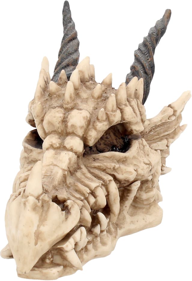 Nemesis Now Dragon Skull æske