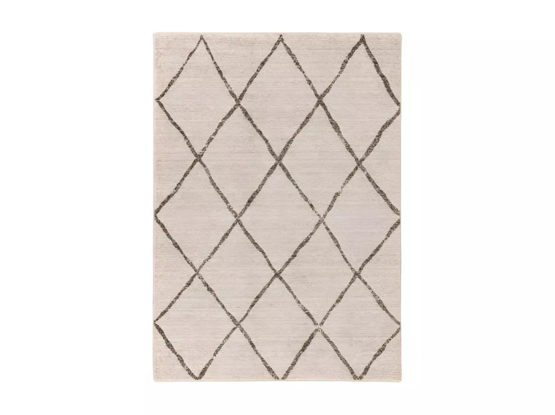 Tapis 290x200cm, design A105R coloris beige - Confort et élégance pour votre intérieur