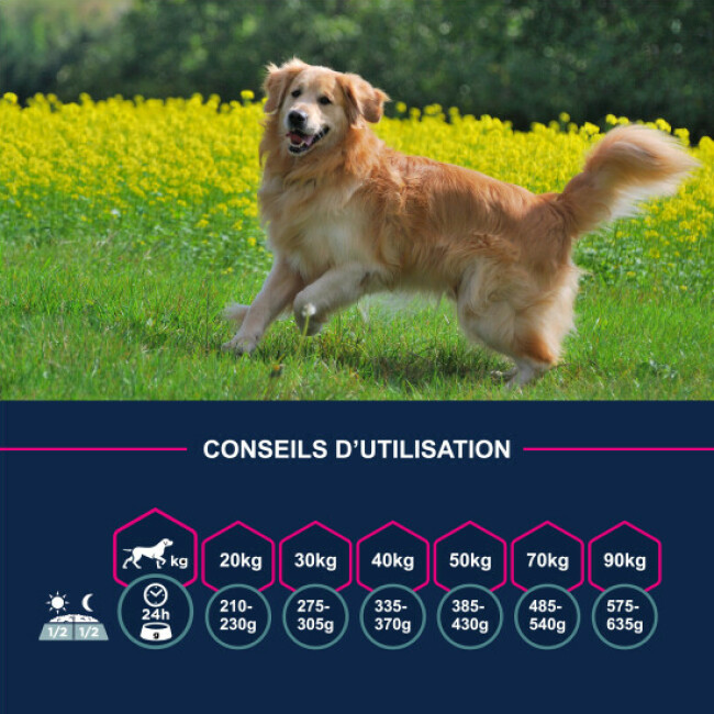 Croquettes Eukanuba Chien Adulte Grandes Races Poulet