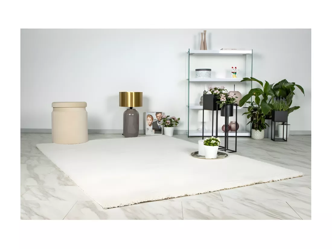 Tapis 290x200cm, design D005M coloris ivoire - Confort et élégance pour votre intérieur