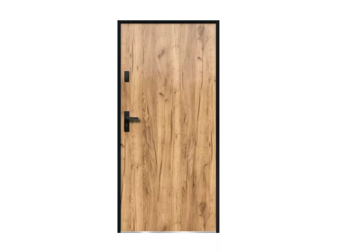 Porte d'entrée en acier pleine H207 x L100 cm effet chêne - poussant droit - AGUEDA