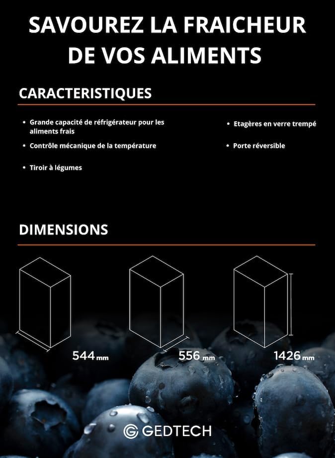 GEDTECH Refrigerateur simple porte GSP230BL Black - capacité 230L - Classe E
