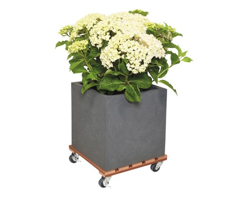 Plantenwagen WPC 29x29 cm max. draagvermogen 80 kg bruin